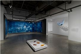 Andrea Chung: Between Too Late and Too Early at Museum of Contemporary Art, North Miami