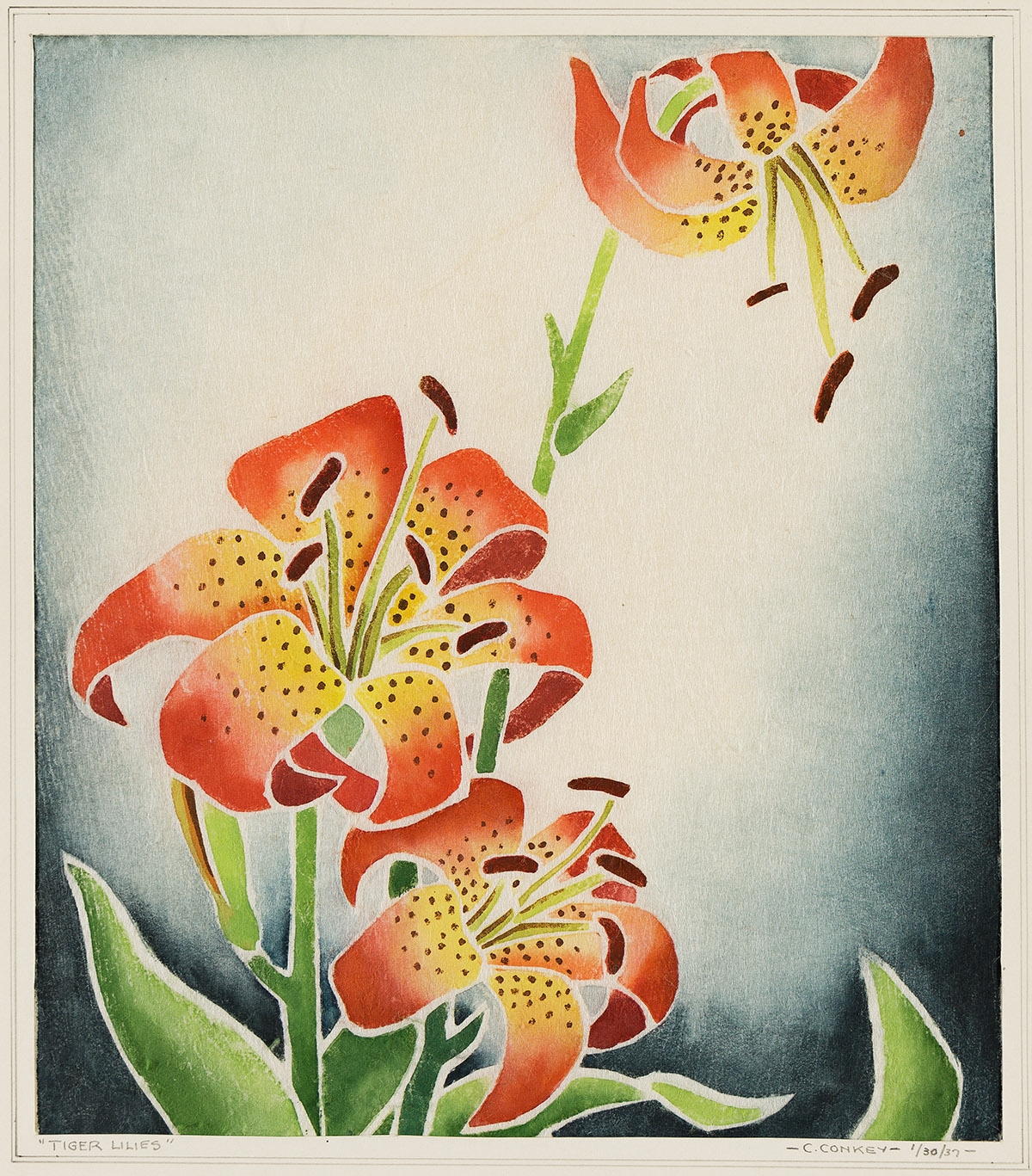 C. Conkey | Calla Lily (Circa 1930) | MutualArt