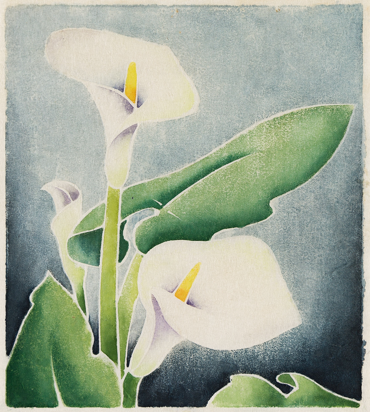C. Conkey | Calla Lily (Circa 1930) | MutualArt