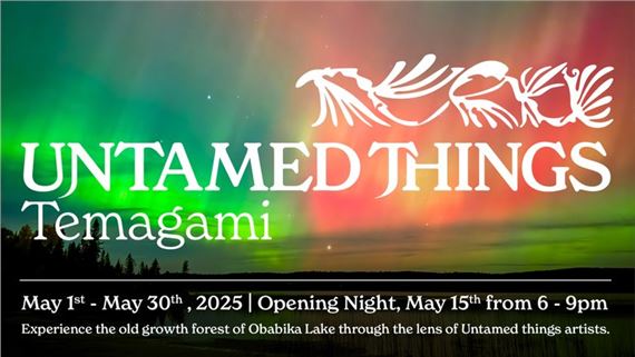 Untamed Things Temagami - Twist Gallery