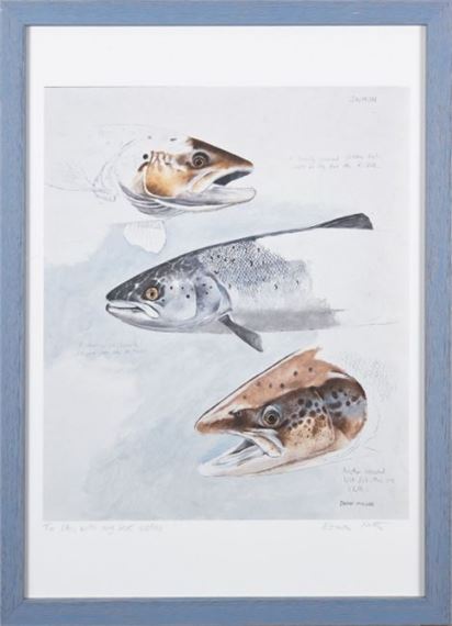 David Miller | Salmon showing the heads of three salmon two caught in ...