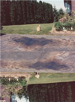 Amy Ritter: What Does it Feel Like To Be You - Ortega y Gasset Projects