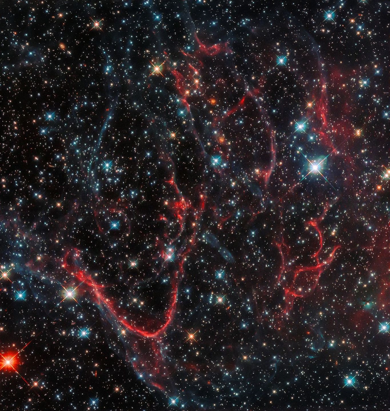 Zane Onckule | NASA. LARGE FORMAT. Fabulous vision captured by the ...