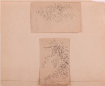 Study of grape vines - Johann Moritz Rugendas