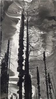 Our Earth, Our Future - Cabrillo Gallery