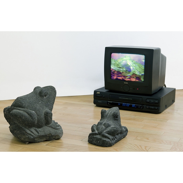 Nam June Paik | TV Frog 1979/95 (2014) | MutualArt