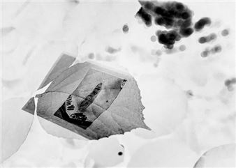Shiho Yoshida: Hallucination - Yumiko Chiba Associates