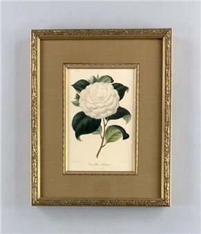 Spring Premier Auction 2025 - Epic Auctions & Estate Sales