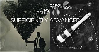 Carol Golemboski & Jay Gould: Sufficiently Advanced - Art Gym Denver