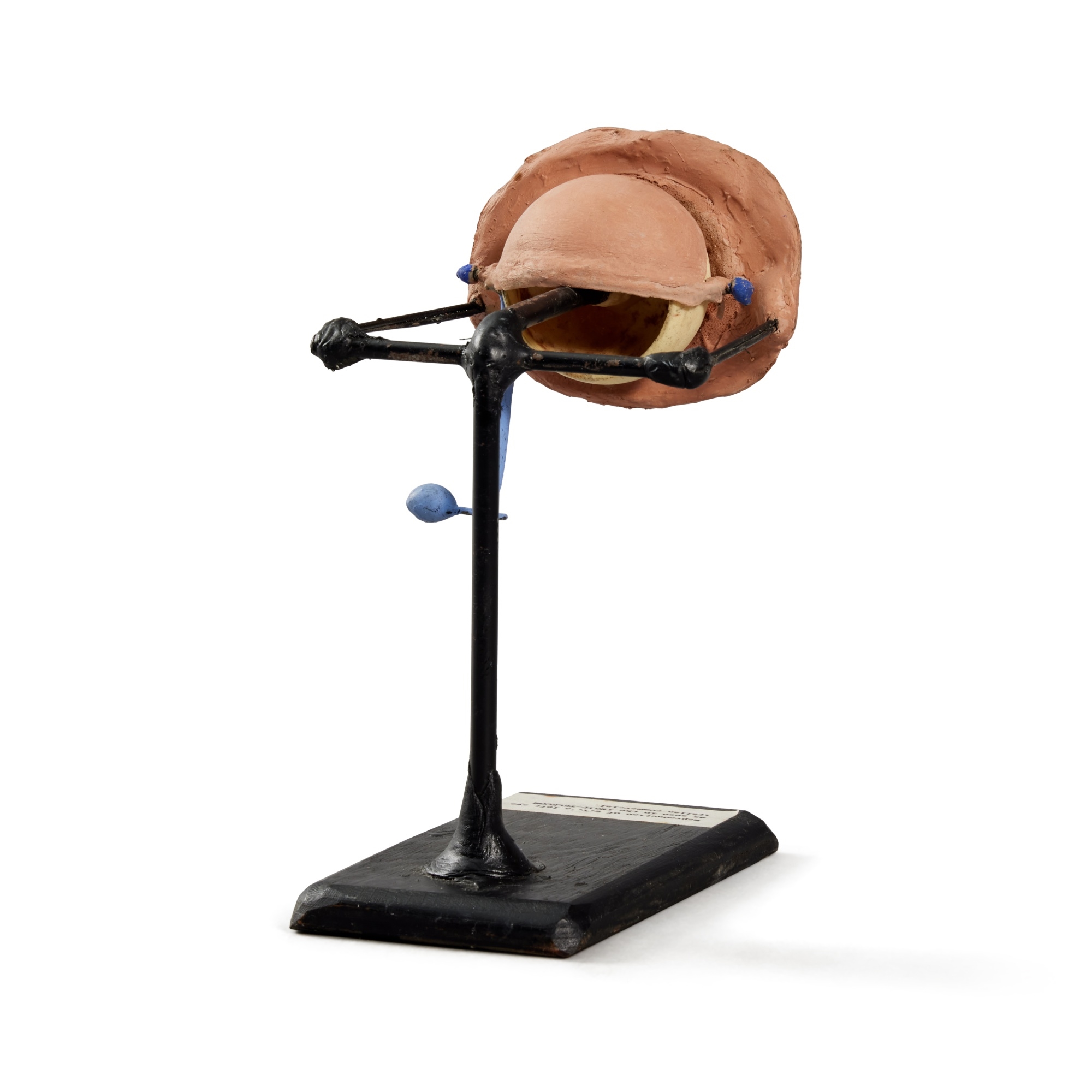 Artwork by Carlo Rambaldi, E.T. the Extra-Terrestrial, Made of clay, metal, and acrylic paint