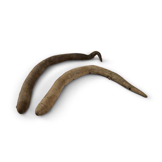 Dune (1984 by Carlo Rambaldi, 1984