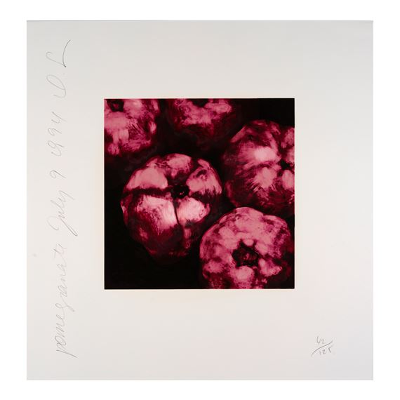 Acanthus; Pomegranates, from Fruit and Flowers III (2 works) by Donald Sultan, 1994