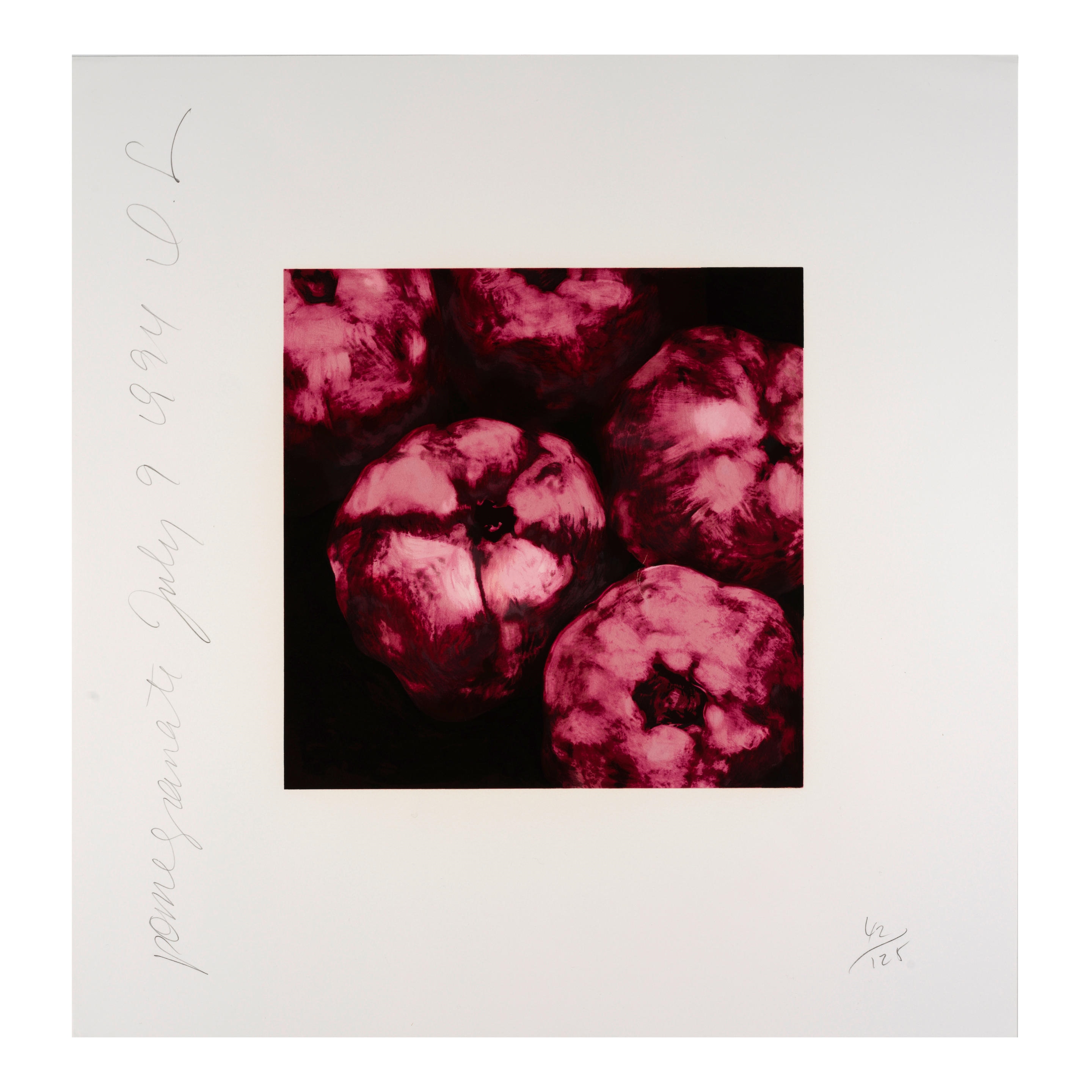 Artwork by Donald Sultan, Acanthus; Pomegranates, from Fruit and Flowers III (2 works), Made of screenprints in colors on wove paper