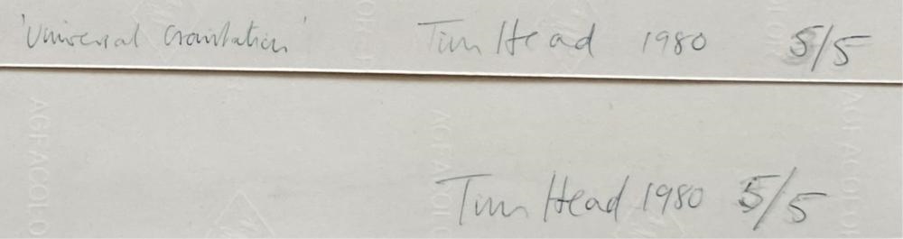 Tim Head | Universal Gravitation 1980 Diptych (1980) | MutualArt