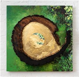 Diane Burko: Bearing Witness