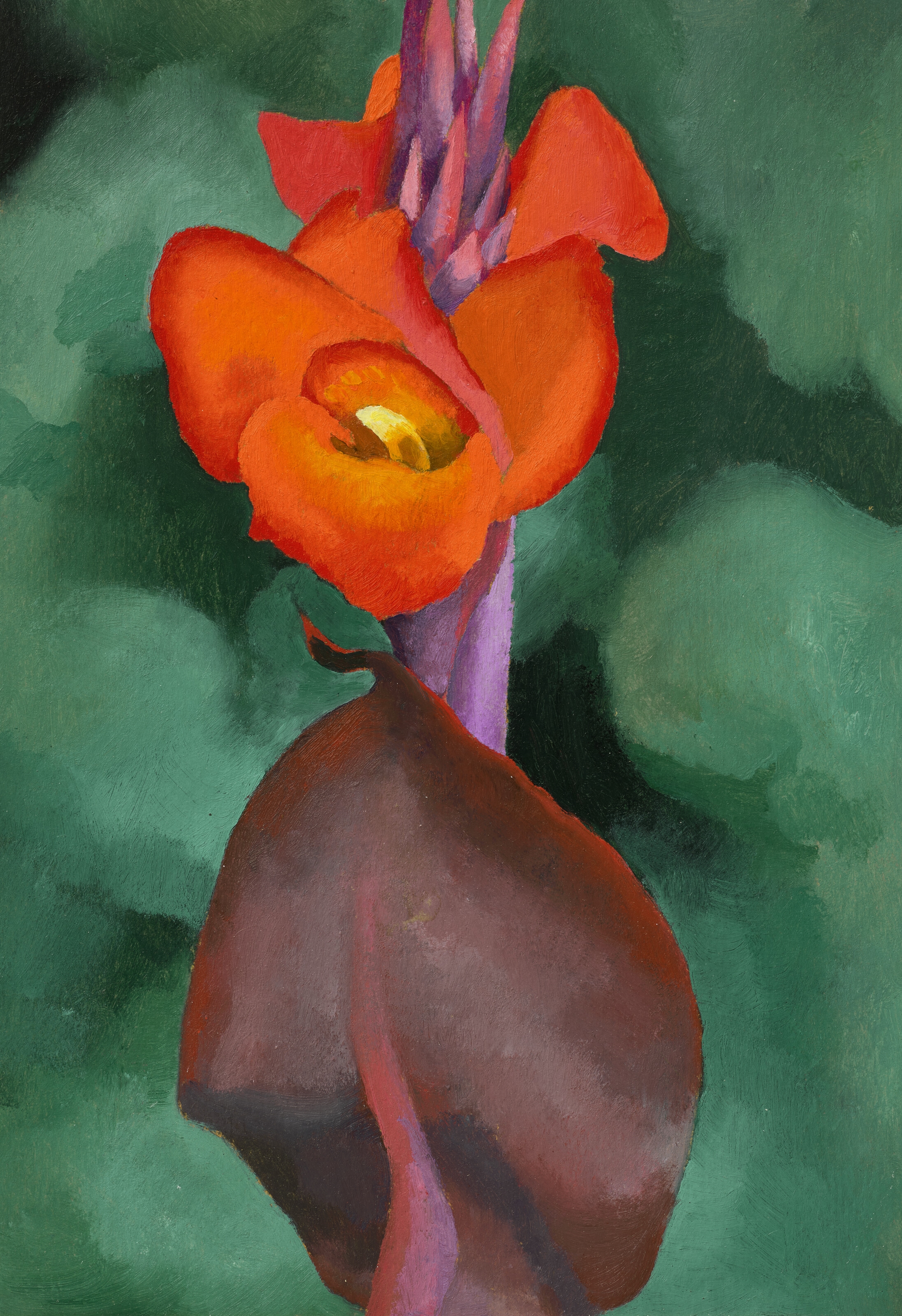 Artwork by Georgia O'Keeffe, Red Canna, Made of oil on board