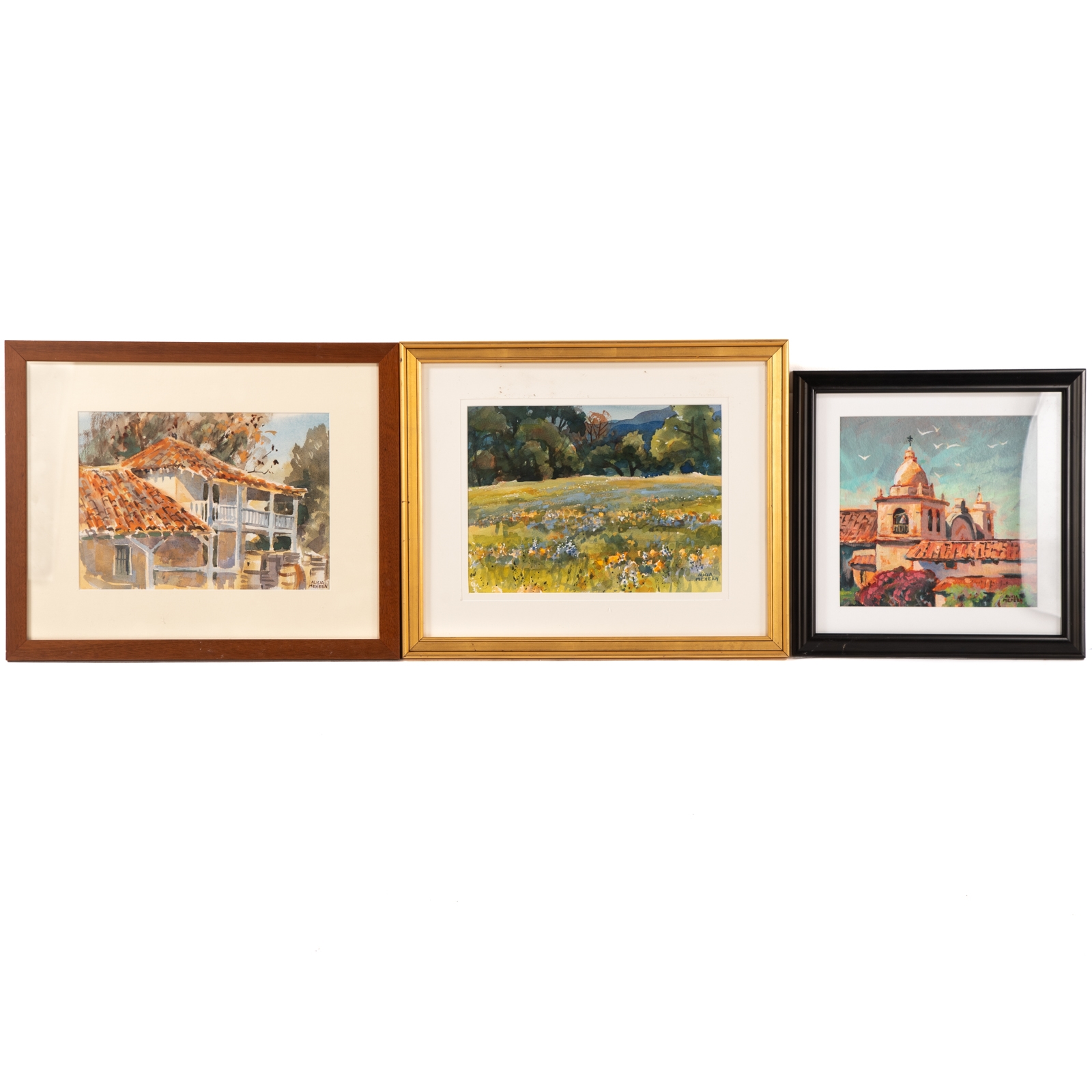 Artwork by Alicia Meheen, Three Framed Artworks, Made of watercolor on paper