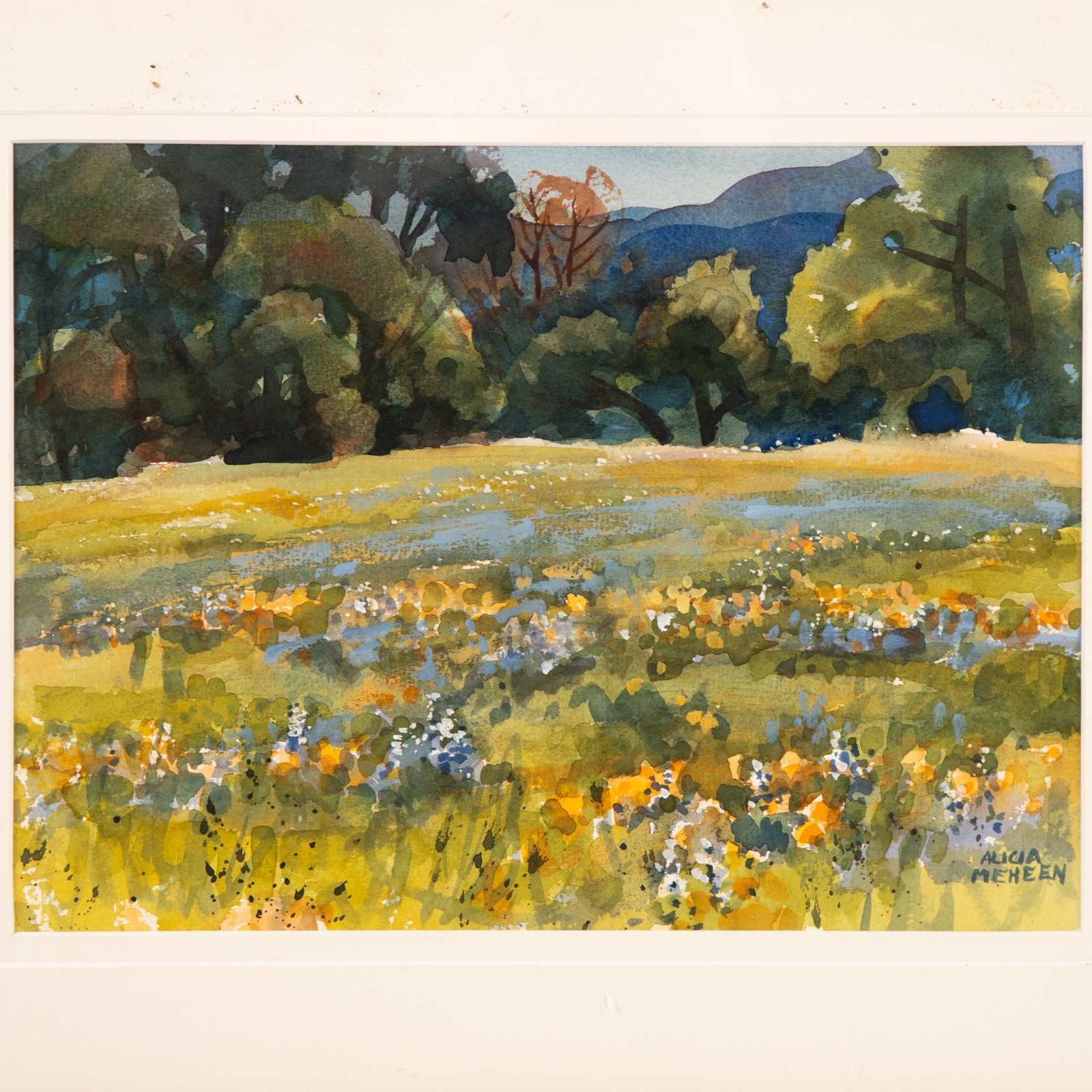 Artwork by Alicia Meheen, Three Framed Artworks, Made of watercolor on paper