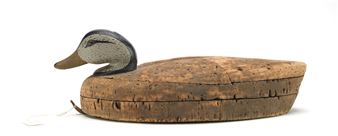 Cork black duck - James Ketcham