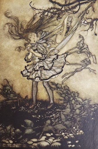 Arthur Rackham | Peter Pan in Kensington Gardens (1907) | MutualArt