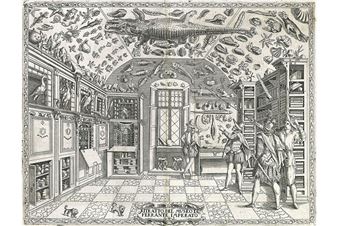 Kunstkammer at Lismore Castle Arts