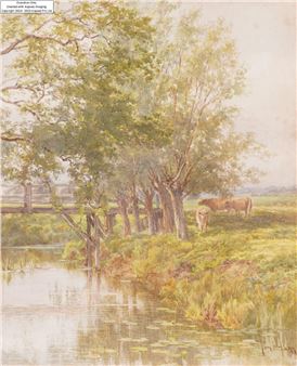 Cattle by a river - Tom Hunn