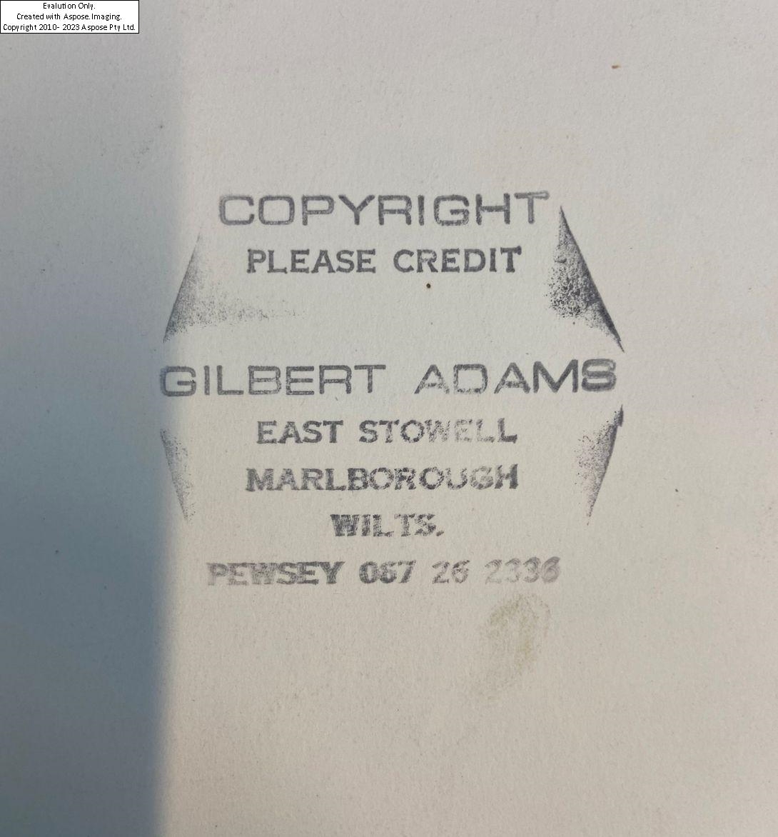 Gilbert Adams | St Ives bears studio stamp and title | MutualArt