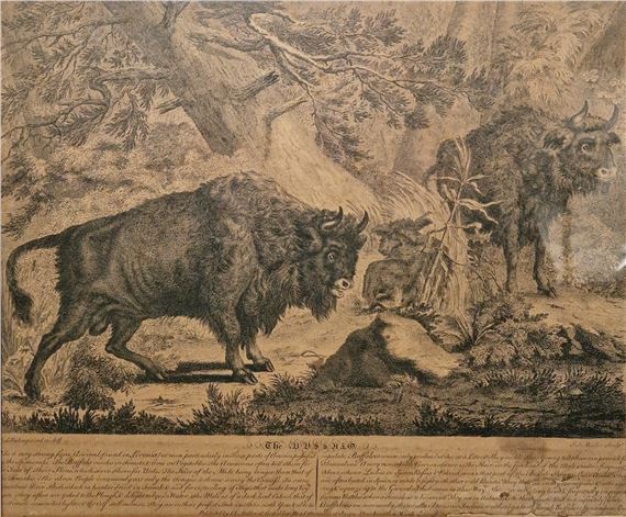 Johann Elias Ridinger (1698-1767) Two copper plate engravings on paper "The Wild Boar" and "The by Johann Elias Ridinger