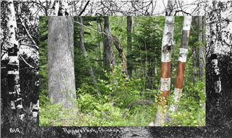 Woven Being Interweaves the Complexities of Native Art and Life