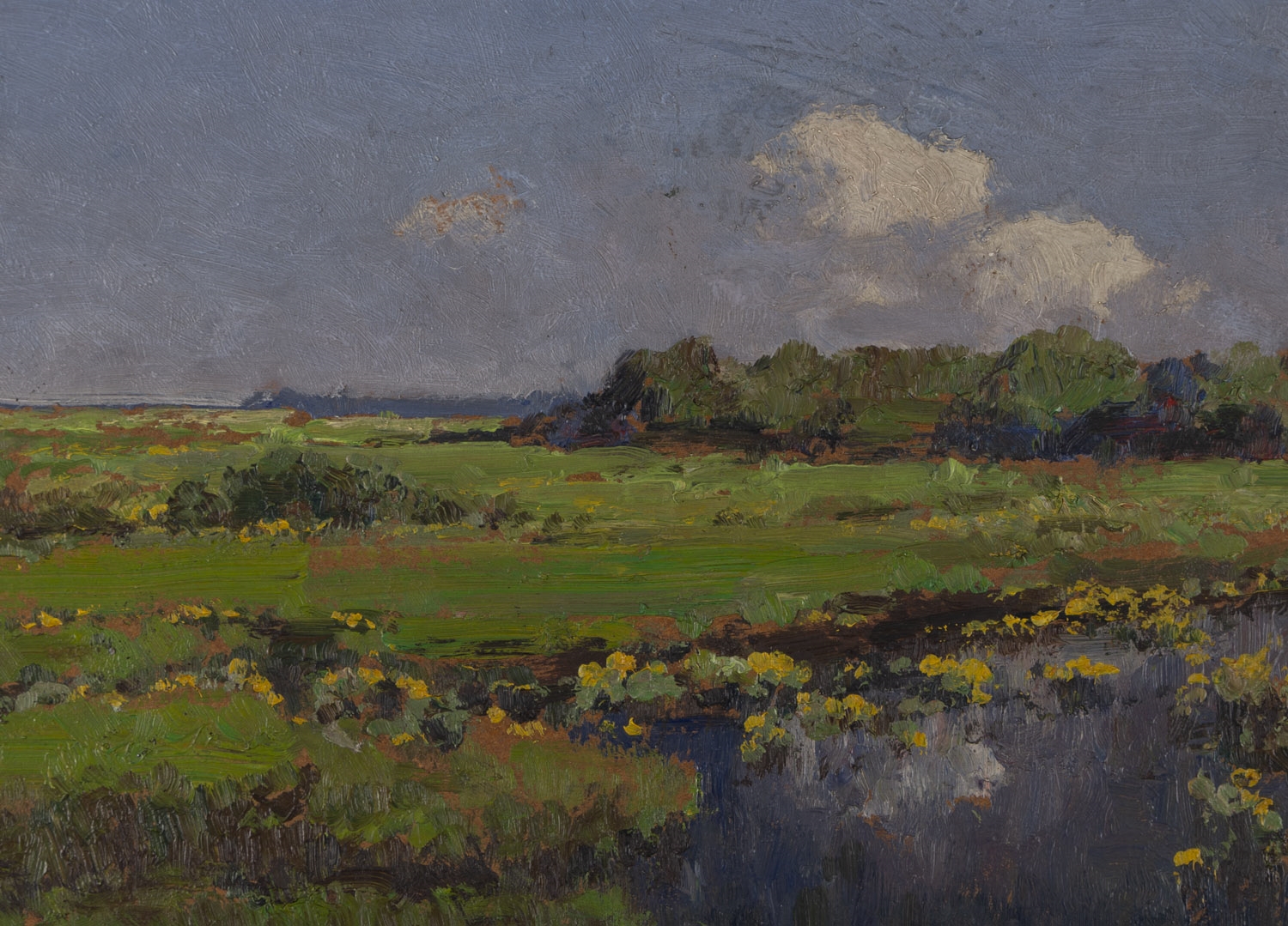 Artwork by Wiktor Korecki, Pejzaz z kaczencami oil/paperboard, Made of oil/paperboard