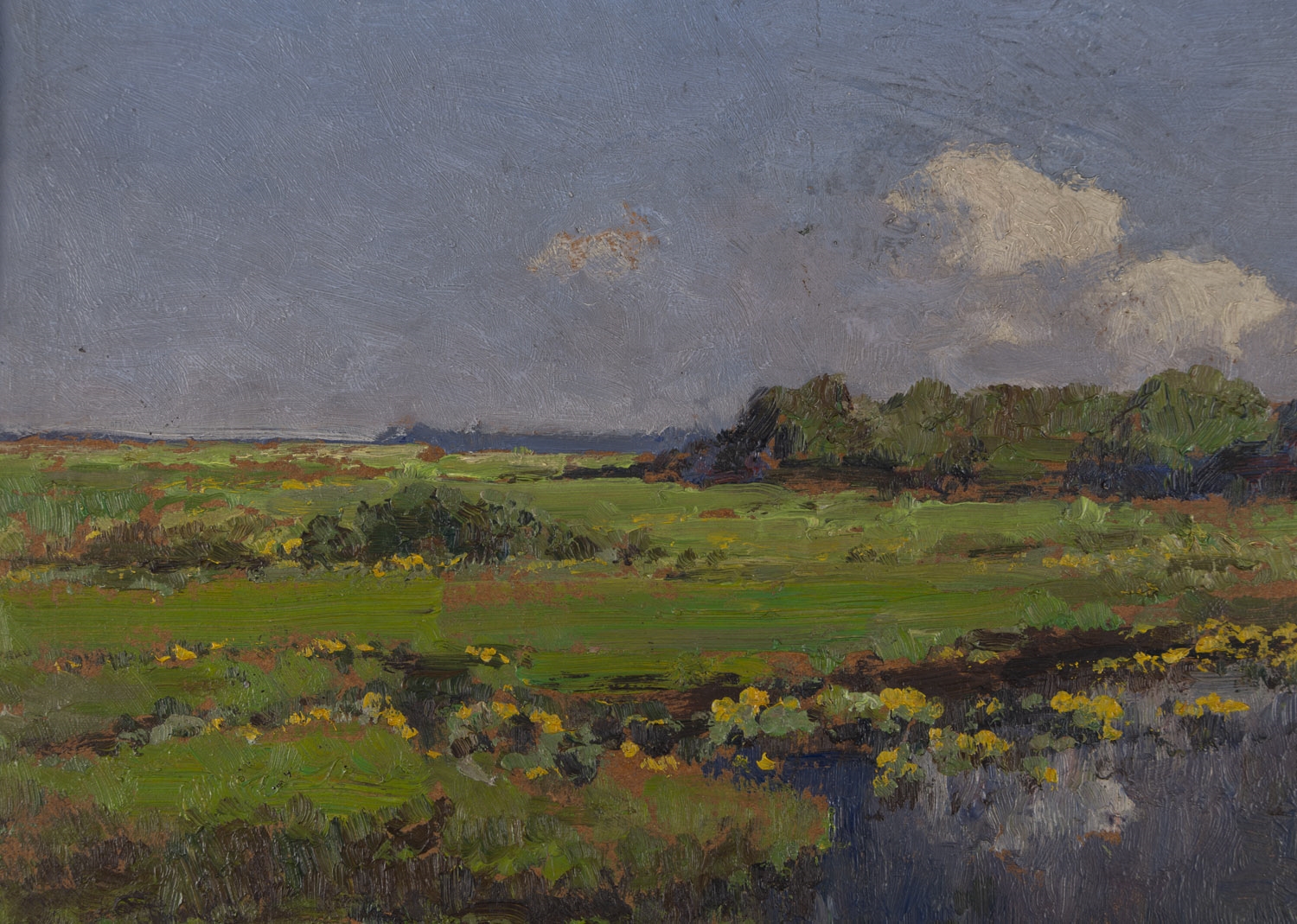 Artwork by Wiktor Korecki, Pejzaz z kaczencami oil/paperboard, Made of oil/paperboard