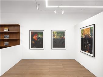 Clifford Ross: What Remains... - Schoelkopf Gallery