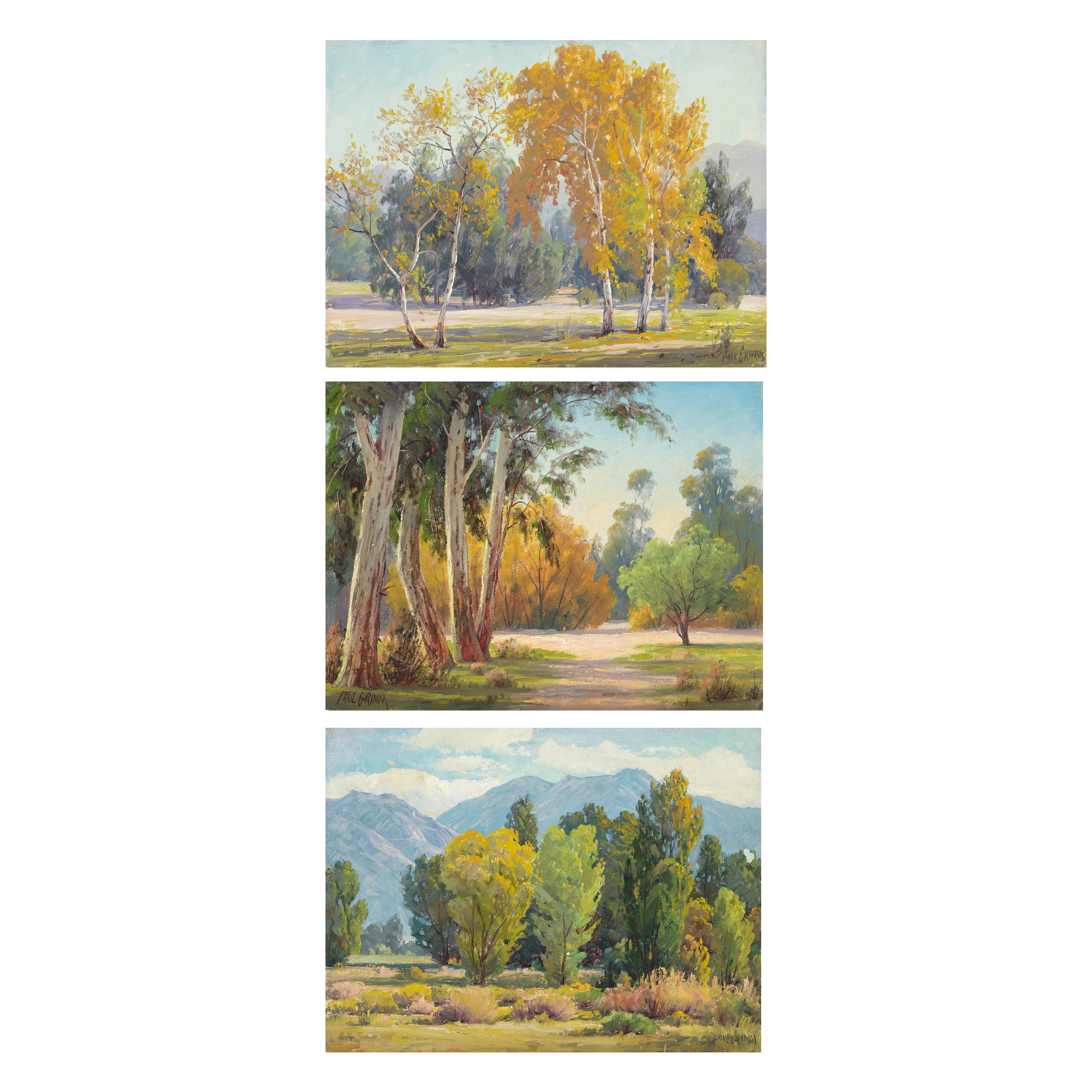 Artwork by Paul Grimm, Near Riverside California, Golden Sycamores and Mountain & Trees, Made of oil on board