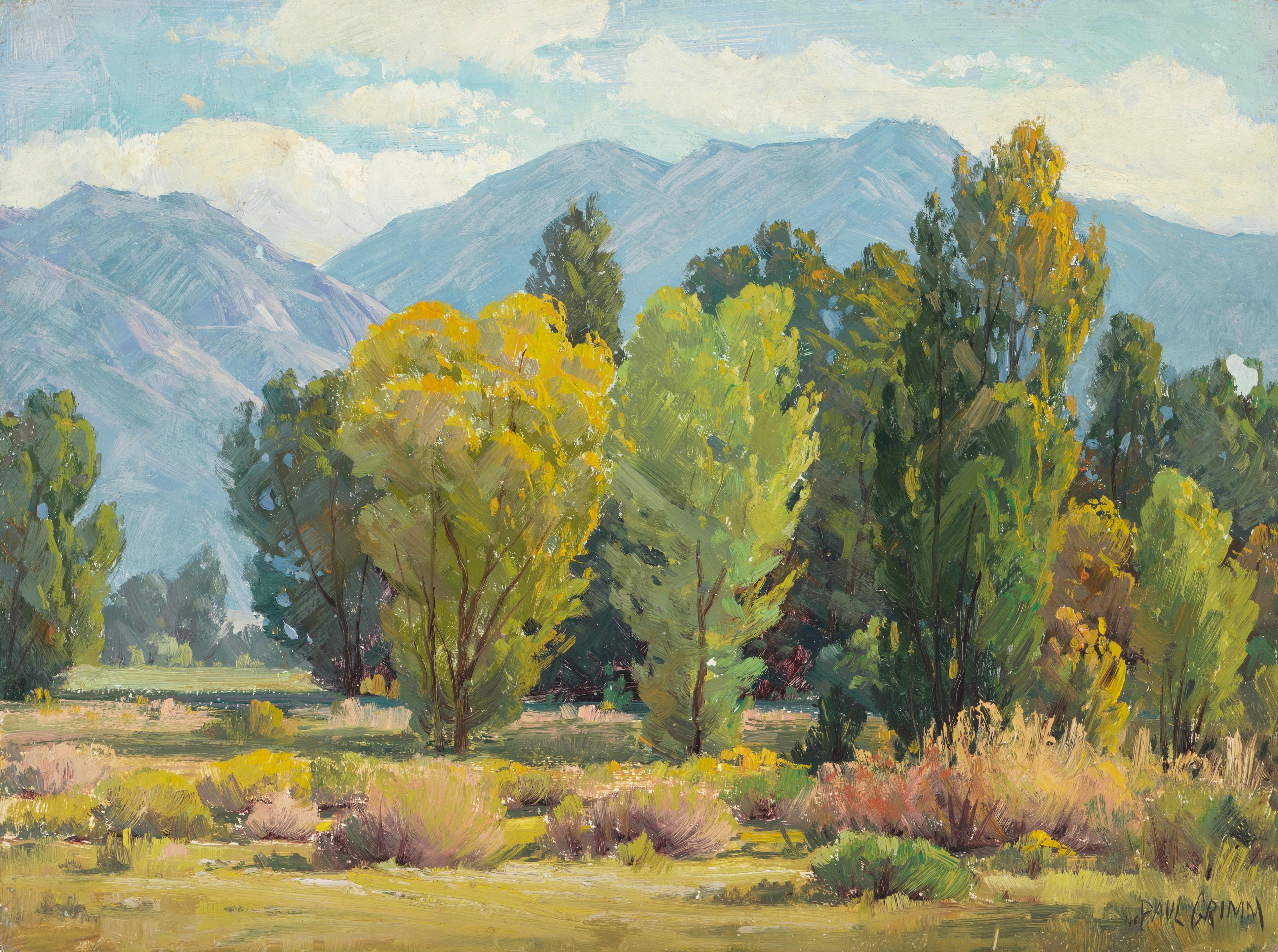 Artwork by Paul Grimm, Near Riverside California, Golden Sycamores and Mountain & Trees, Made of oil on board