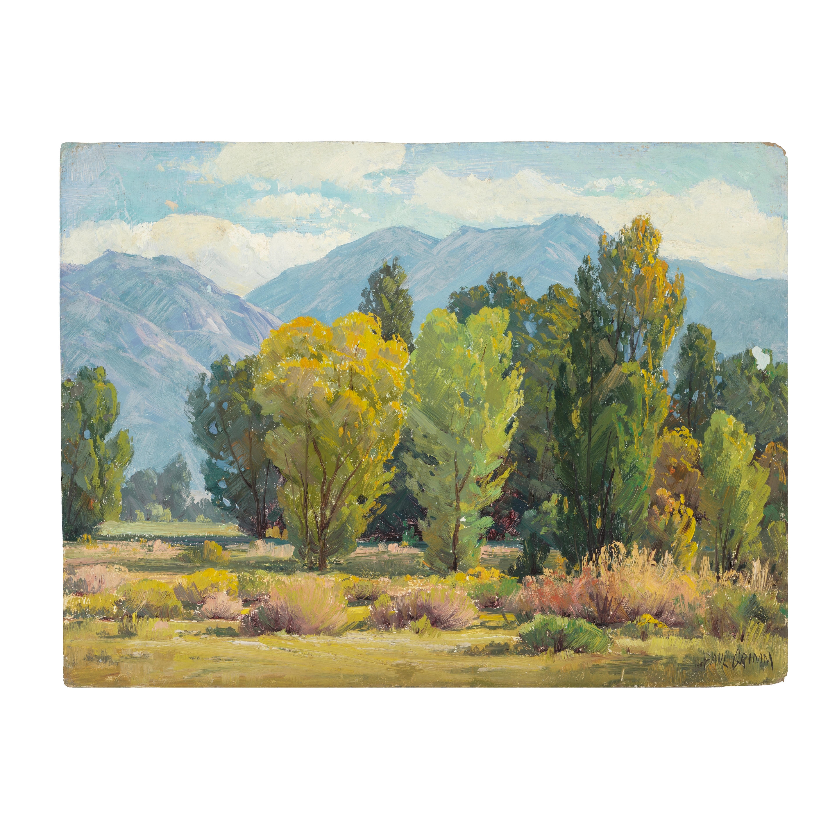 Artwork by Paul Grimm, Near Riverside California, Golden Sycamores and Mountain & Trees, Made of oil on board