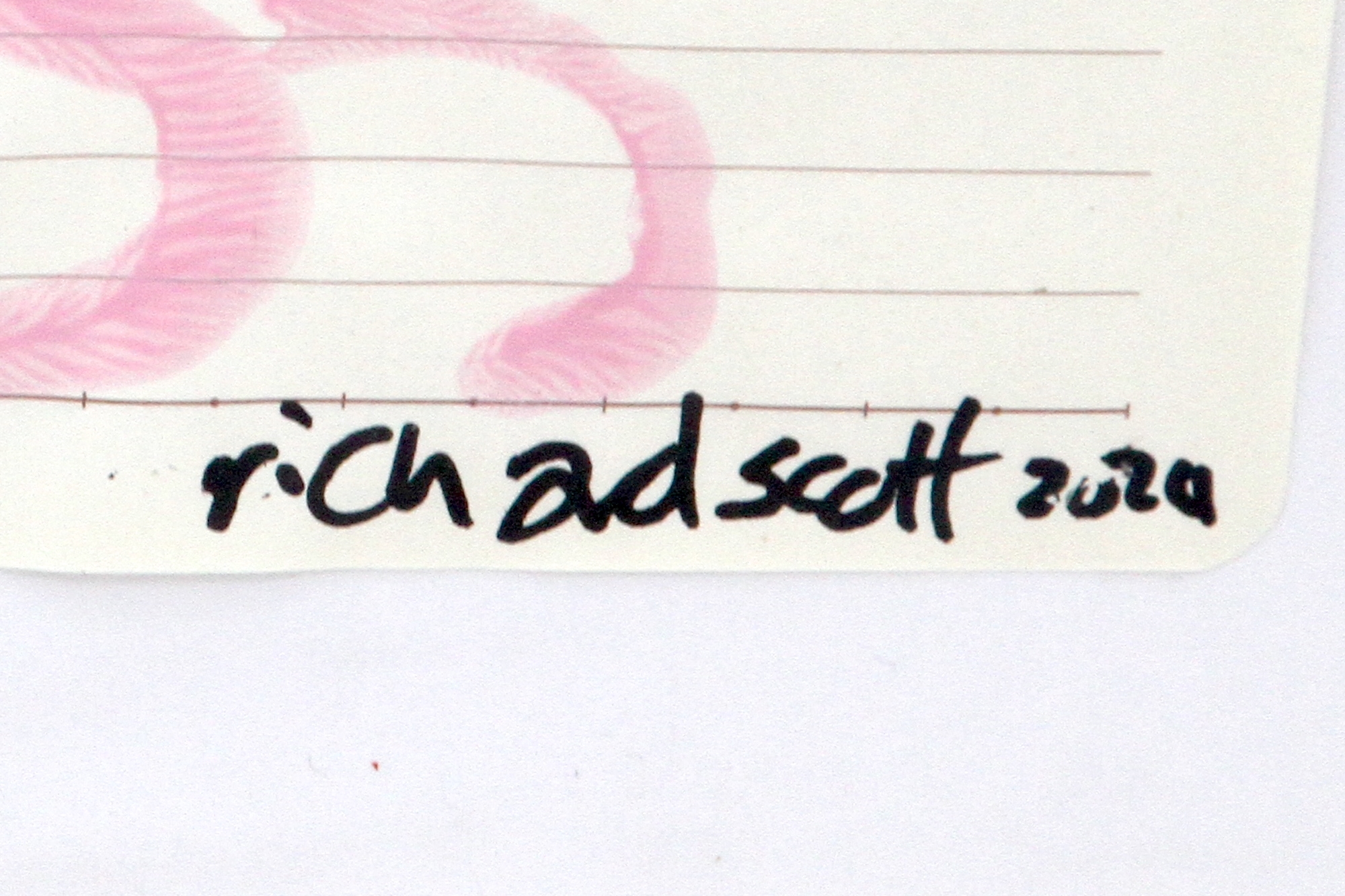 Artwork by Richard Scott, MY PINK CAT, Made of acrylic on paper