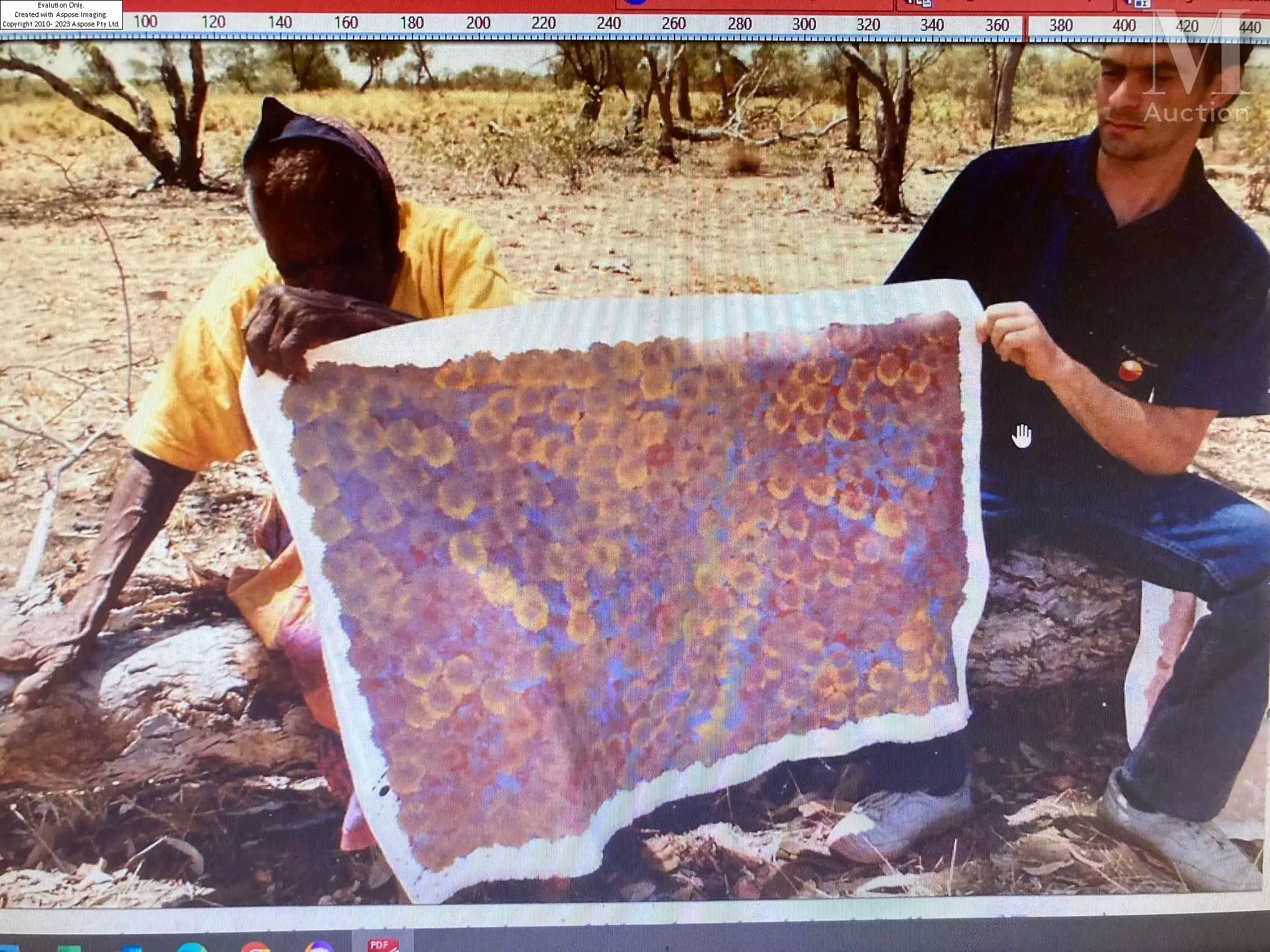 Emily Kame Kngwarreye | Emily's Country, 1994 (1994) | MutualArt