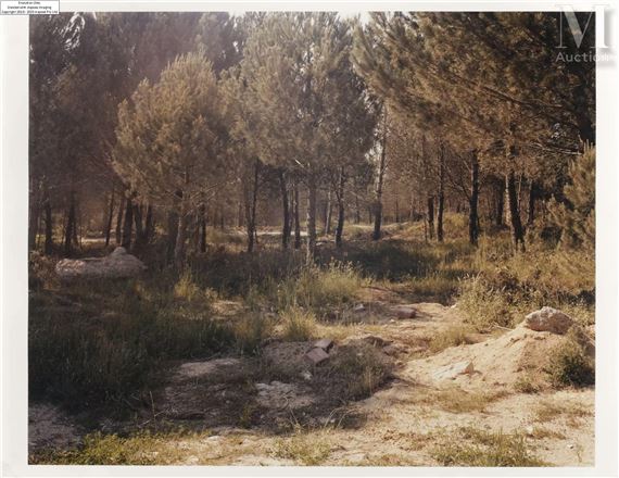 Jean-Marc Bustamante | Paysage (1994) | MutualArt