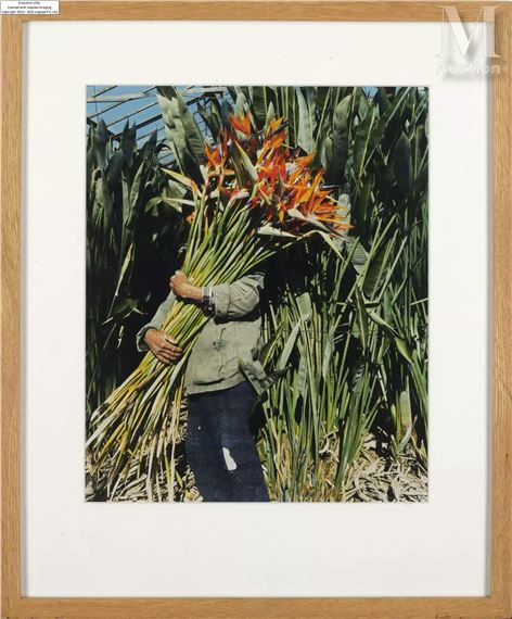 RIKISHI / Charles Freger(シャルル・フレジェ) Charles Fréger | RIKISHI 5 (2005) | MutualArt