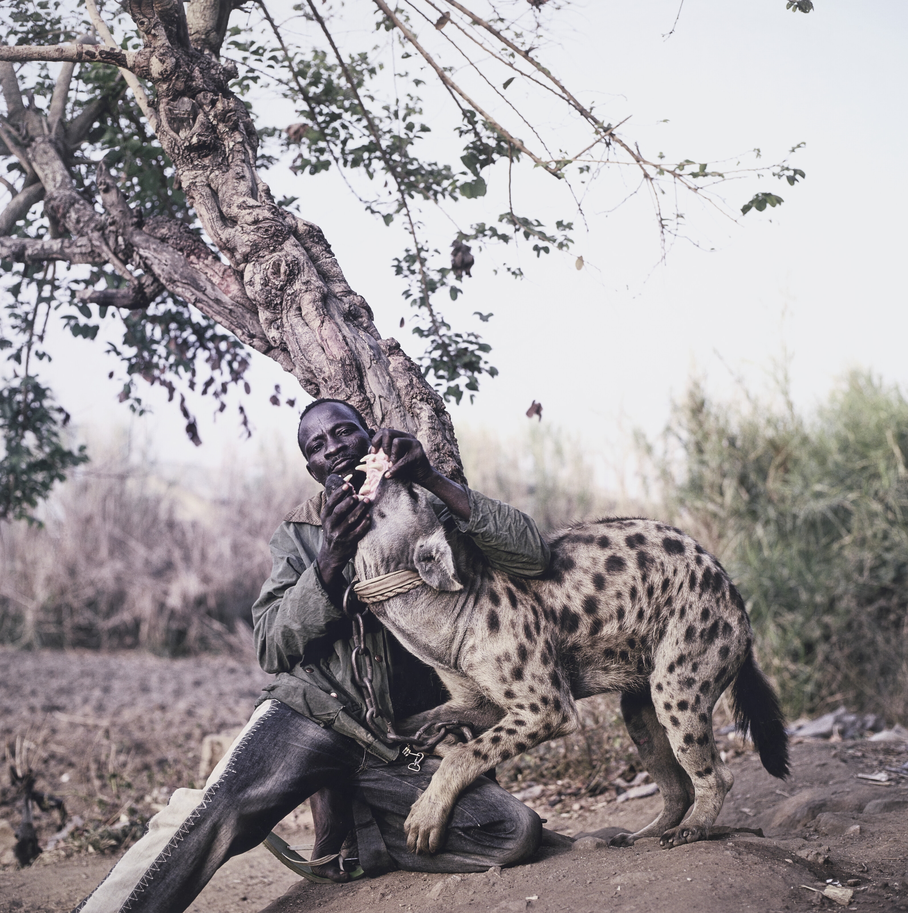 Pieter Hugo | Mallam Galadima Ahmadu with Jamis, Nigeria, 2005 (2005 ...