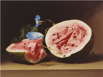 Early American, Melons and Morning Glories, 2008 - Sharon Core