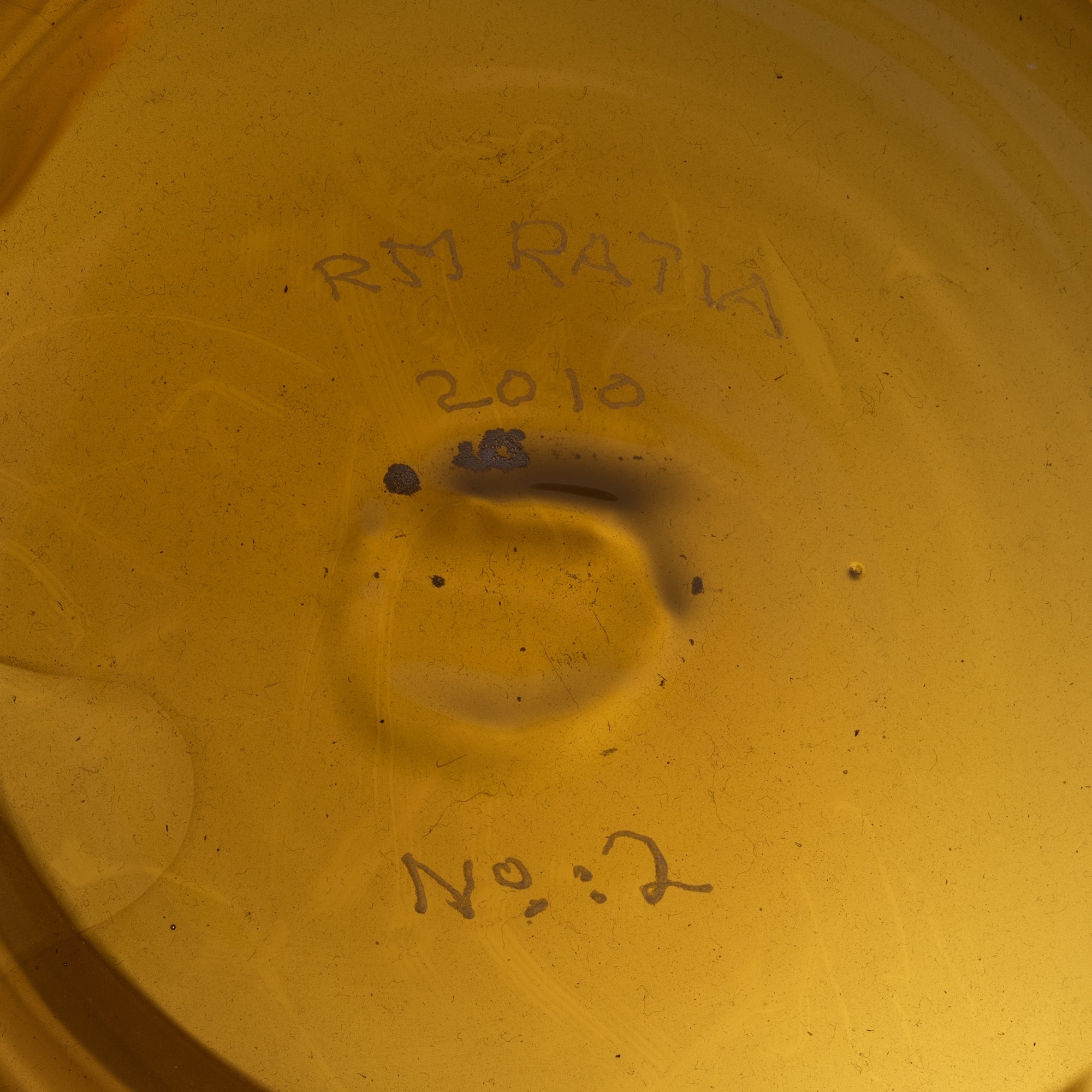 Artwork by Ristomatti Ratia, Untitled