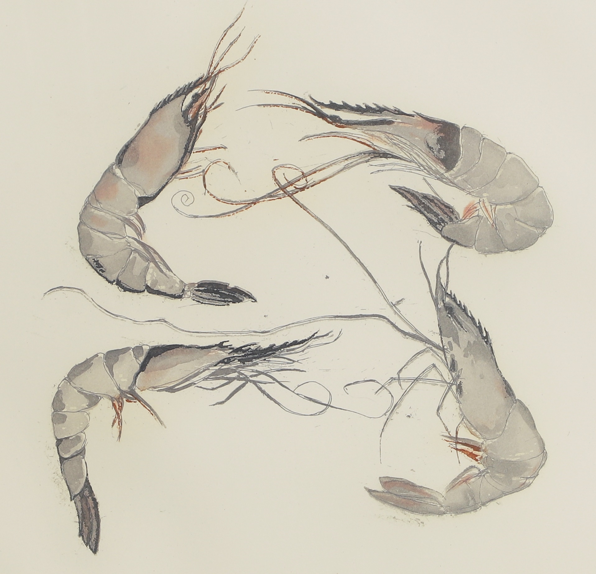 Artwork by Elizabeth Blackadder, Langoustine, Made of etching in colours