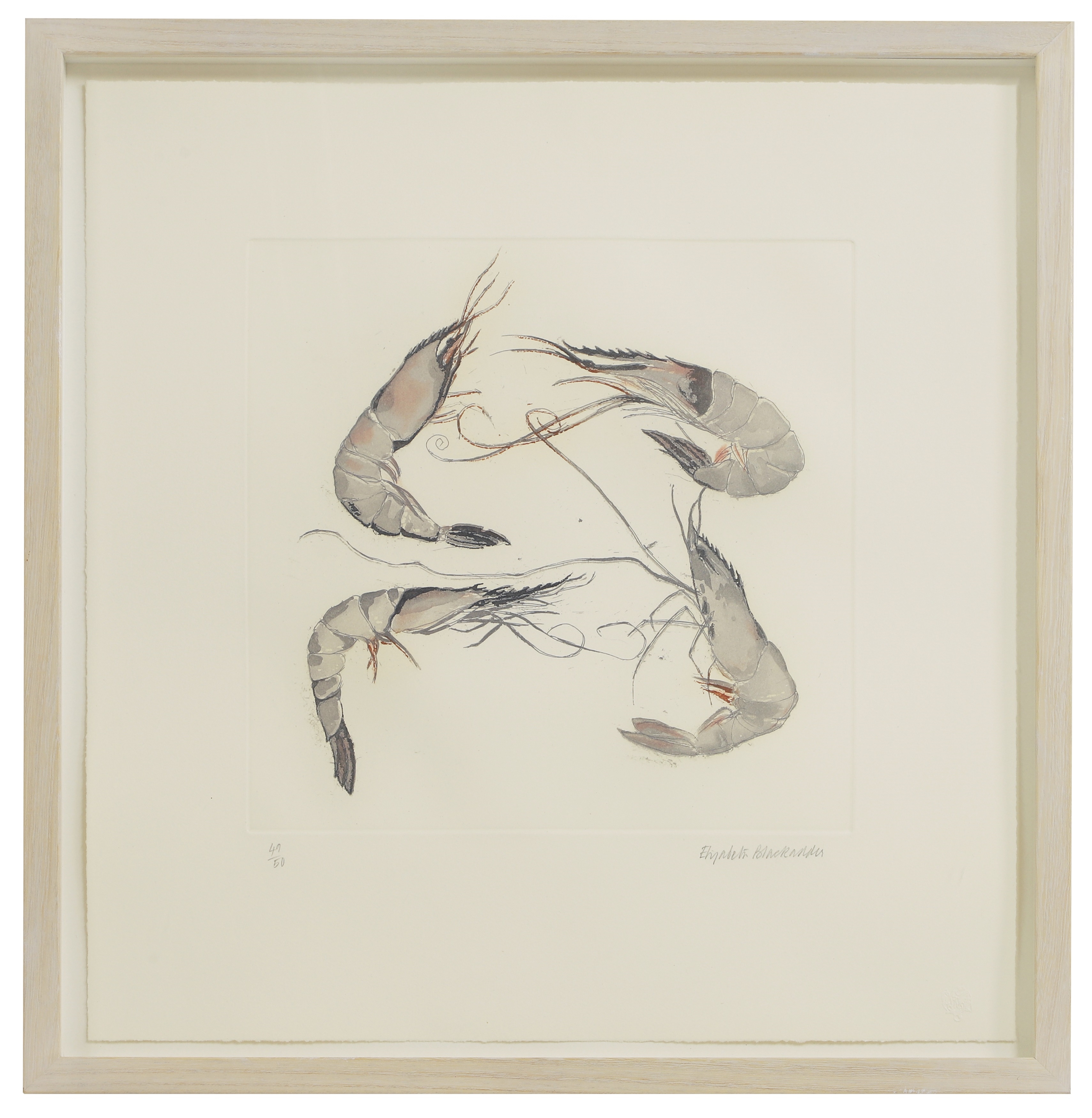 Artwork by Elizabeth Blackadder, Langoustine, Made of etching in colours