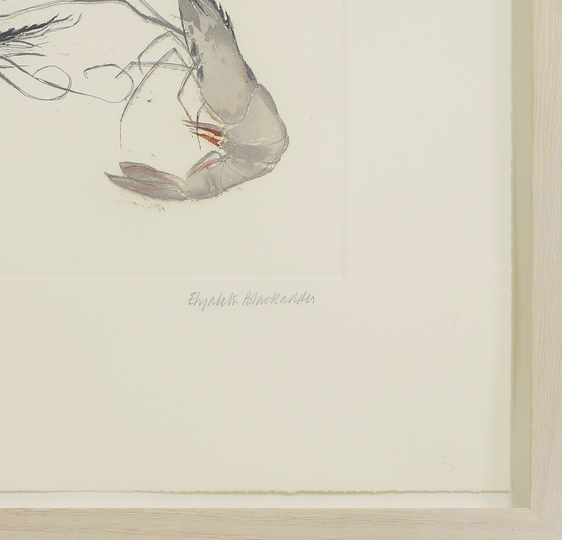 Artwork by Elizabeth Blackadder, Langoustine, Made of etching in colours