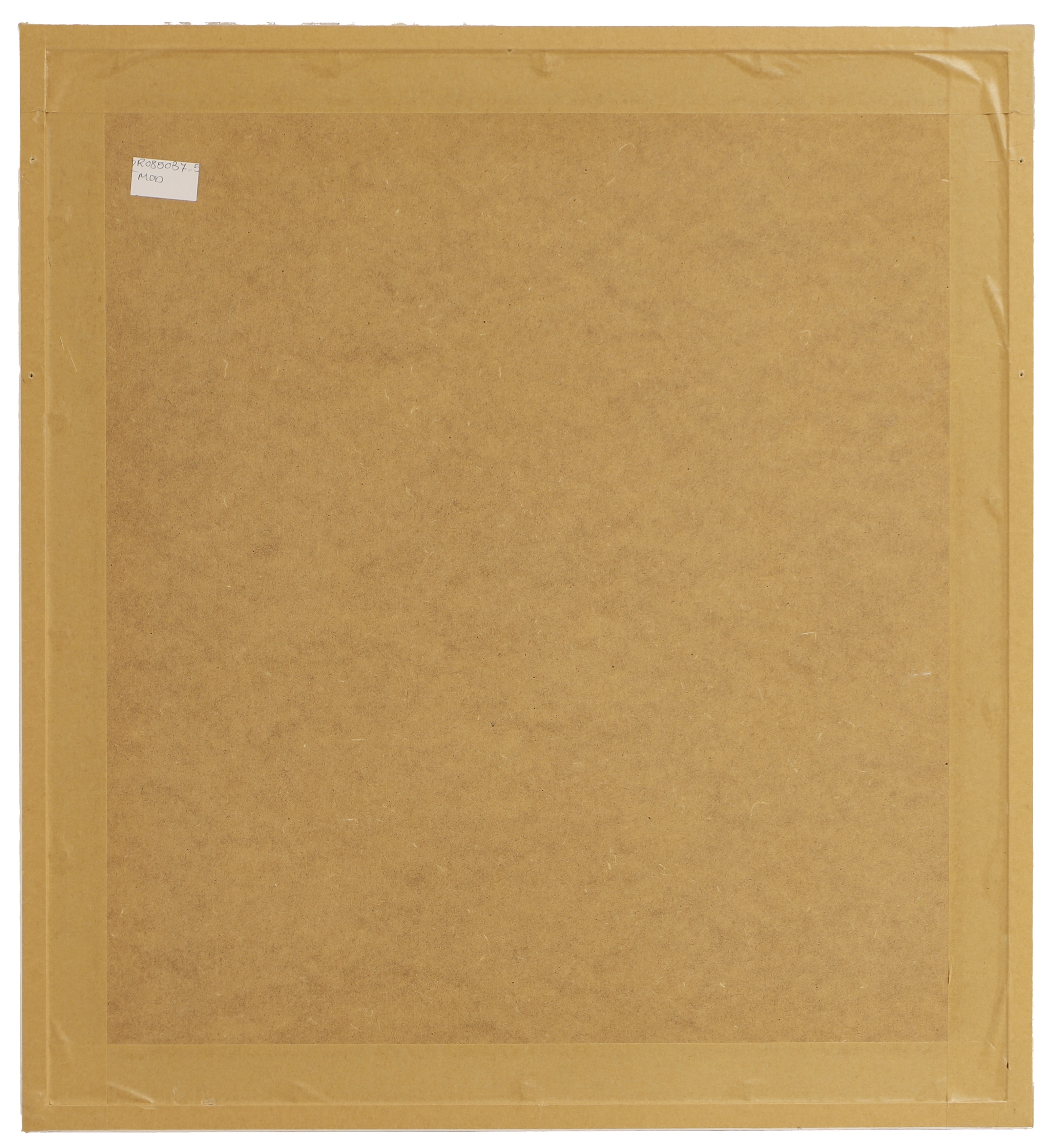 Artwork by Elizabeth Blackadder, Langoustine, Made of etching in colours