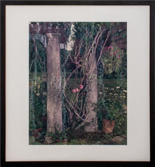 Stephen Scheer | Stephen Scheer Perola Chromogenic Print, 1989 (1989 ...