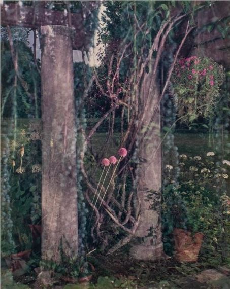 Stephen Scheer | Stephen Scheer Perola Chromogenic Print, 1989 (1989 ...