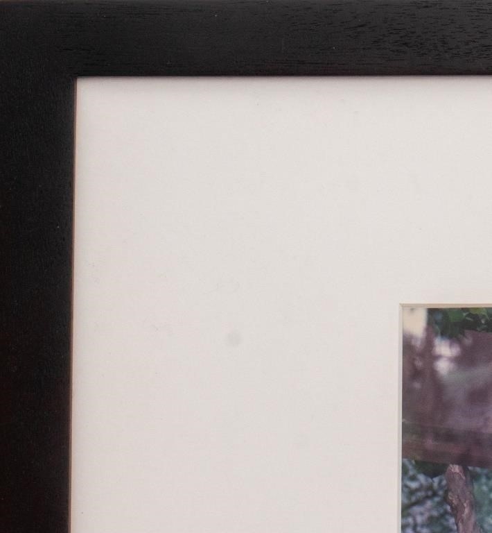 Stephen Scheer | Stephen Scheer Perola Chromogenic Print, 1989 (1989 ...