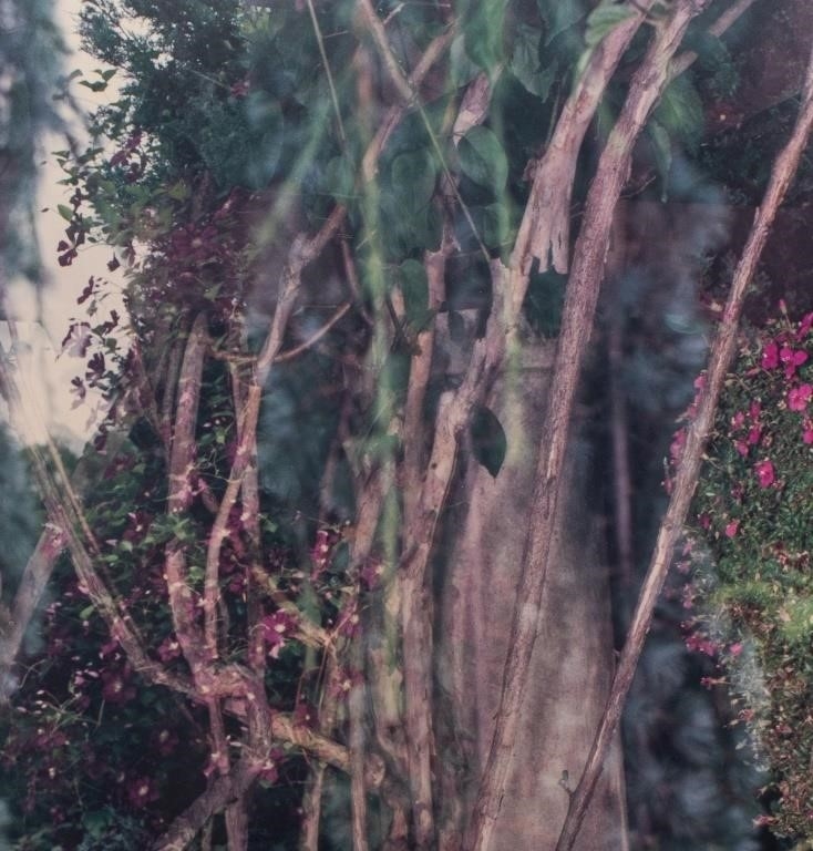 Stephen Scheer | Stephen Scheer Perola Chromogenic Print, 1989 (1989 ...